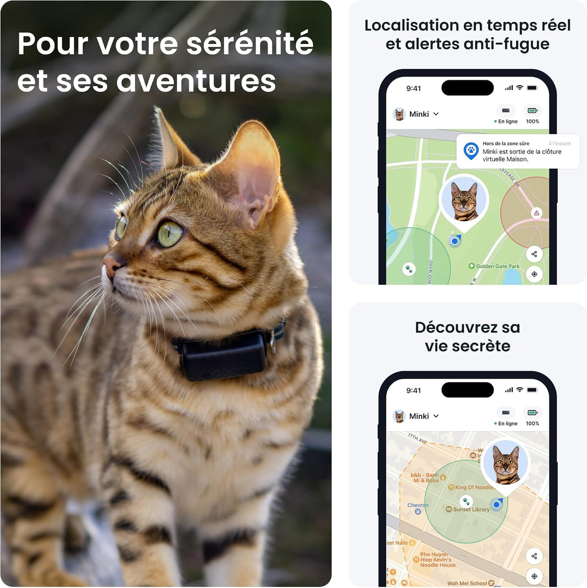– Collier GPS Chat Connecté Mini | N° 1 Des GPS Pour Chats | Localisation GPS En Direct | Historique De Localisation Et Fonction Territoire | Collier De Sécurité Inclus (Bleu Foncé)
