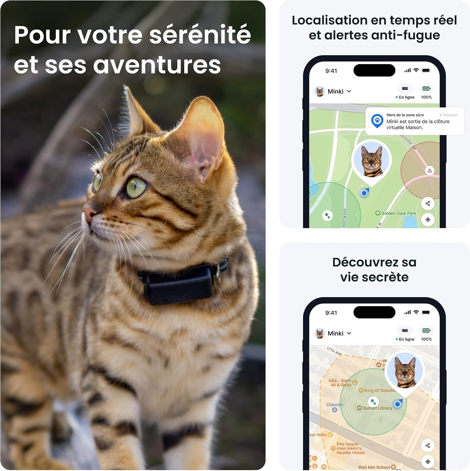 – Collier GPS Chat Connecté Mini | N° 1 Des GPS Pour Chats | Localisation GPS En Direct | Historique De Localisation Et Fonction Territoire | Collier De Sécurité Inclus (Bleu Foncé)