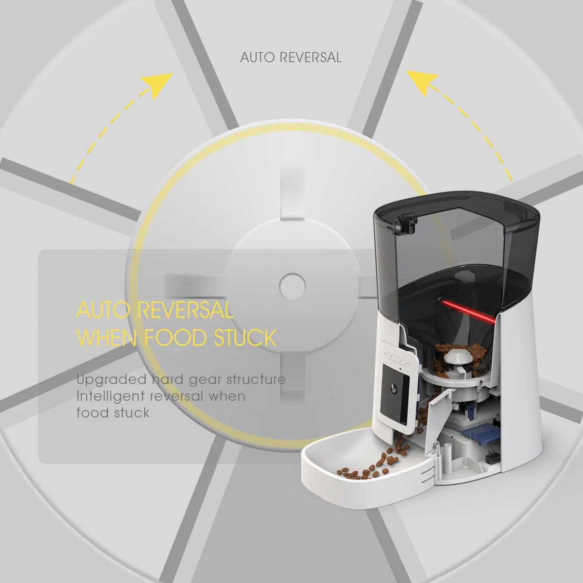 Distributeur Connecté  H20 — Nourrissez, Observez, Interagissez À Distance