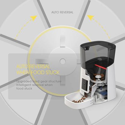 Distributeur Connecté  H20 — Nourrissez, Observez, Interagissez À Distance