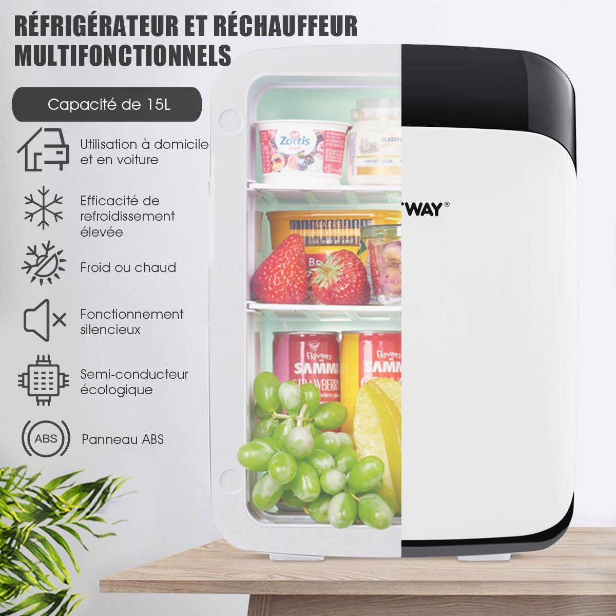 Mini Réfrigérateur 15L 2 En 1 Mini Frigo Portable Fonction De Refroidissement Et De Chauffage Blanc/Noir