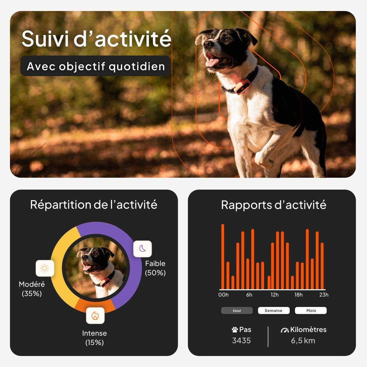 Chien XS - Mini Traceur GPS Pour Chien | Suivi En Temps Réel | Etanche | plus Petit Modèle Du Marché | Abonnement Requis | Garantie À Vie