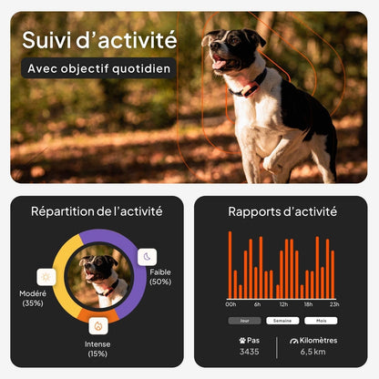 Chien XS - Mini Traceur GPS Pour Chien | Suivi En Temps Réel | Etanche | plus Petit Modèle Du Marché | Abonnement Requis | Garantie À Vie