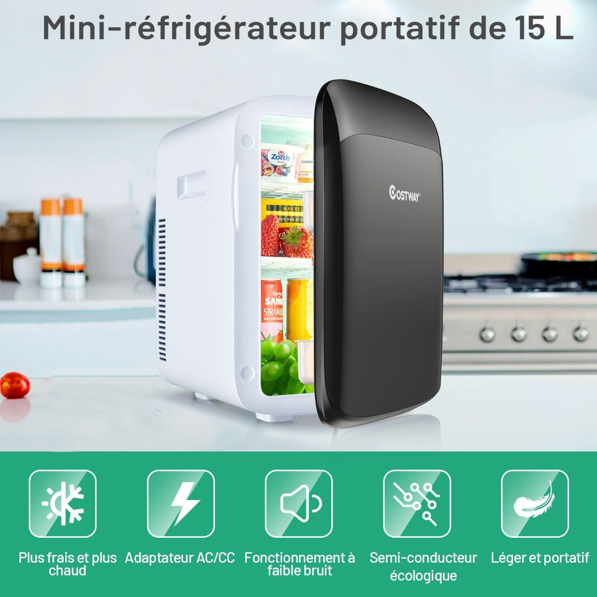 Mini Réfrigérateur 15L 2 En 1 Mini Frigo Portable Fonction De Refroidissement Et De Chauffage Blanc/Noir