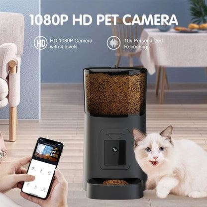 Distributeur Connecté  H20 — Nourrissez, Observez, Interagissez À Distance