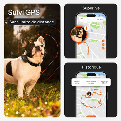 Chien XS - Mini Traceur GPS Pour Chien | Suivi En Temps Réel | Etanche | plus Petit Modèle Du Marché | Abonnement Requis | Garantie À Vie